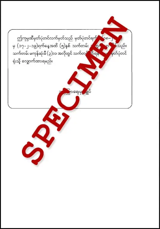 certificate of incorporation for local Company (back)